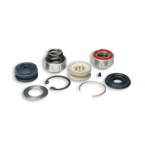 [2015149B] Kit revision de amortiguador Malossi RS24 / RS1