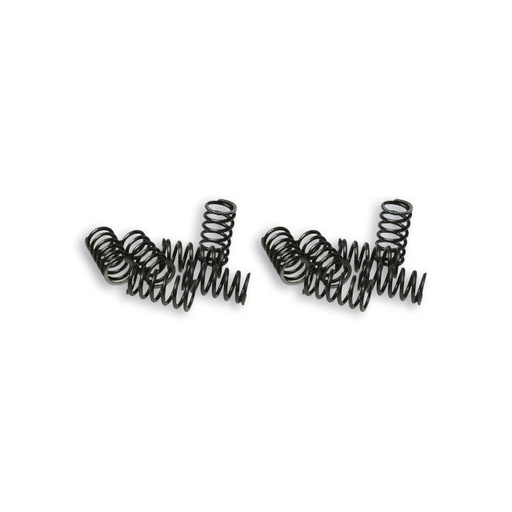 [2916649] Muelles de embrague Malossi Vespa FL