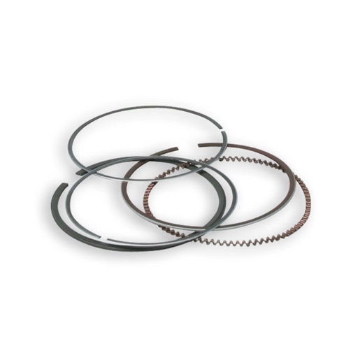 [3511291] Segmentos Malossi d=67mm