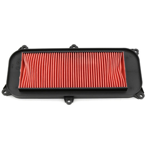 [AP30AF30.410] Filtro de aire Kymco Grand Dink 125-150 01-13 AllPro