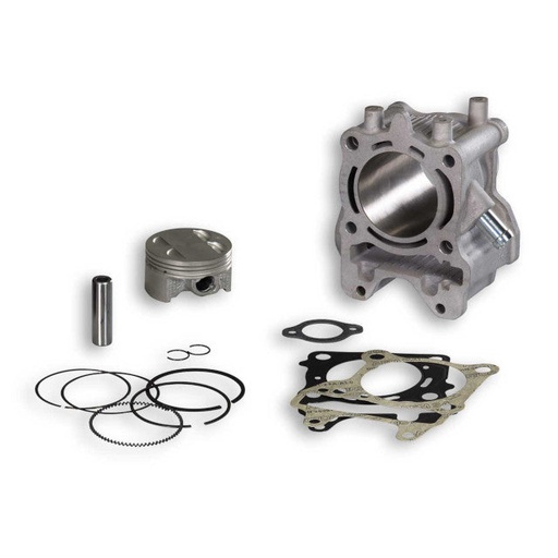 [3117096] Cilindro Malossi 170cc Honda Forza 125 >2015