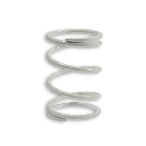 [2911072.W0] Muelle de embrague SYM HD 300 E4 2019-> blanco Malossi