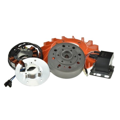 [EXT124] Encendido variable Vespa large frame Millenium MVT