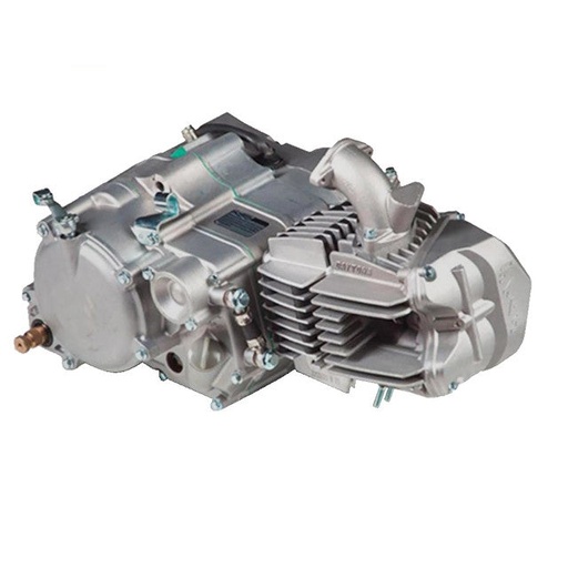 [81244] Motor completo Pitbike Daytona Anima 190SYS