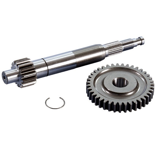 [202.1429] Transmisión primaria Z14/39 Piaggio Zip 50 4T Euro 4 / 5 Polini