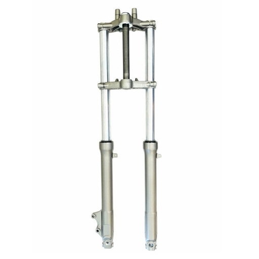 [AP60FO184] Horquilla delantera completa Rieju MRT 50-125 / Beta RR 50cc Allpro