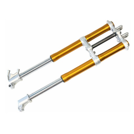 [AP60FO185] Horquilla invertida Rieju MRT Pro 50cc / Marathon 125cc Allpro