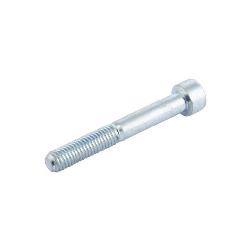 [0/000.460.0493] Tornillo pedal de freno Rieju Tango 125 06-07