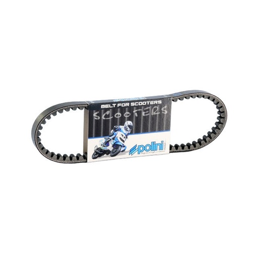 [248.122] Correa Piaggio Liberty 50 iget 3V 16-21 Polini