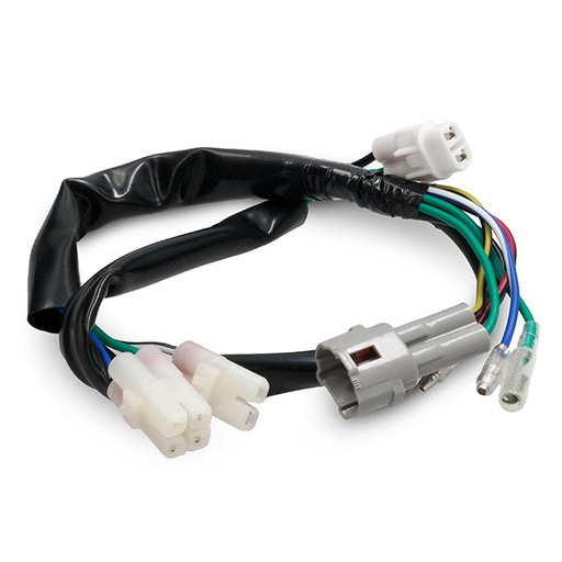 [AP100PB20YX160.IGN.04.01] Instalación eléctrica motor YX 6 pin resistente al agua Pitbike AllPro