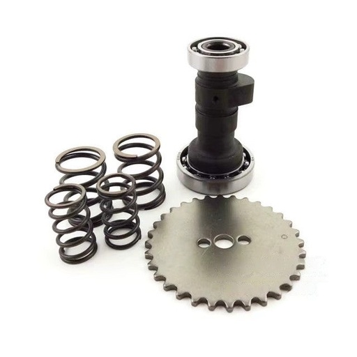 [AP100PB20ZS125F.CMS.R] Kit árbol de levas ZCam motor ZS125F Pitbike AllPro
