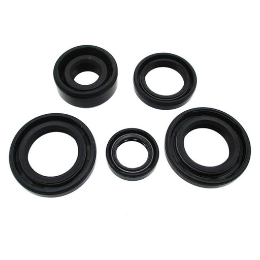 [AP100PB20YX160.SEK] Kit retenes motor YX150/160 Pitbike AllPro