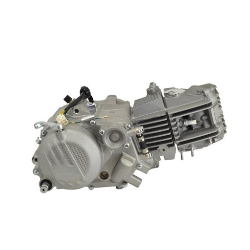 [AP100PB10ZS190SI] Motor ZS190 Zongshen plata Pitbike AllPro