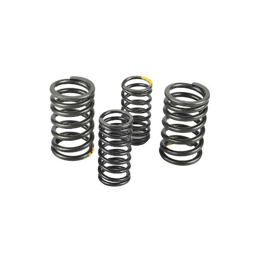 [AP100PB20ZS190.VLV.03] Muelles de valvula motor ZS190 Zongshen Pitbike AllPro