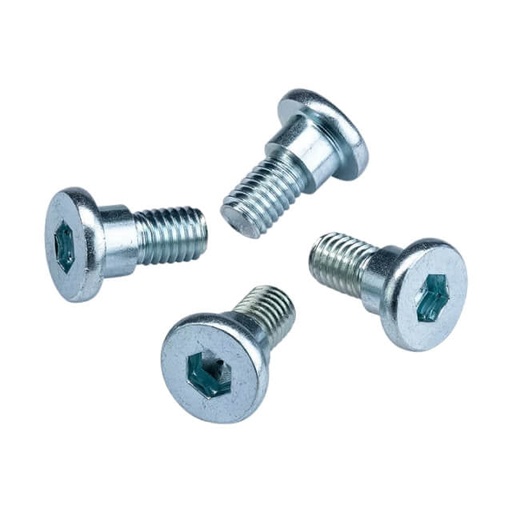 [AP100PB00BRD.02] Tornillos disco de freno trasero 4 ud. Pitbike Allpro