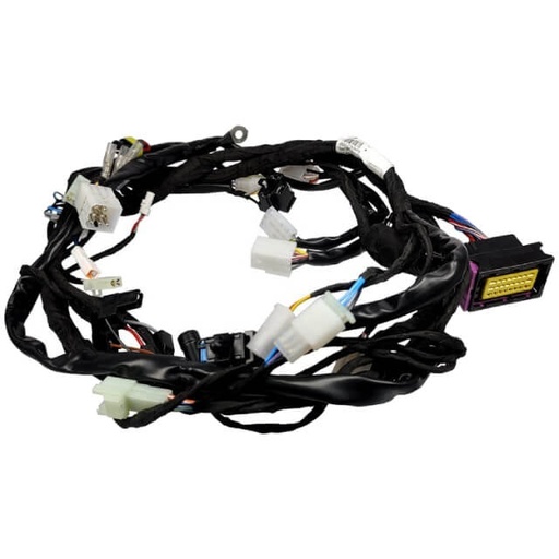 [09817005] Instalación eléctrica central Fantic XM-XE Euro 5 50cc