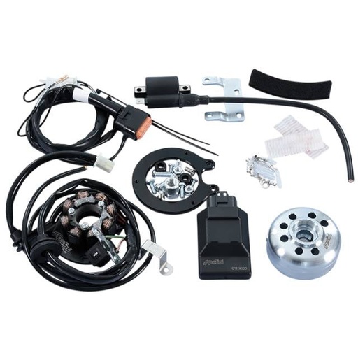 [171.0570] Encendido racing Digital Polini For Race Piaggio scooter 50 2T