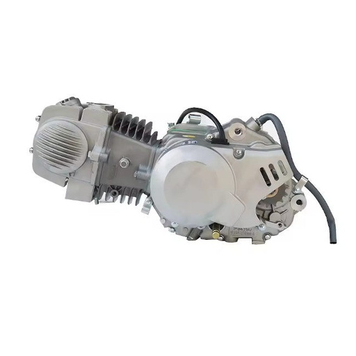 [AP100PB10YX140] Motor YX140 Yinxiang Pitbike AllPro