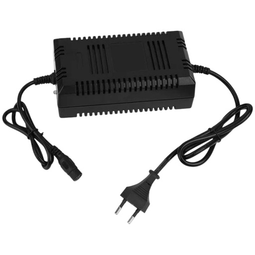 [AP100PB60.IGN.02] Cargador alta calidad 48V Quad eléctrico QX-E Allpro