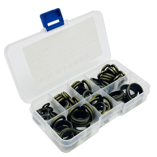 [AP35GA00RGS] Surtido de arandelas engomadas M6-M16 AllPro - 85 unidades
