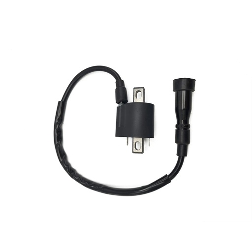 [AP50IC30.650] Bobina de alta Yamaha N-max 125 15-20 Allpro