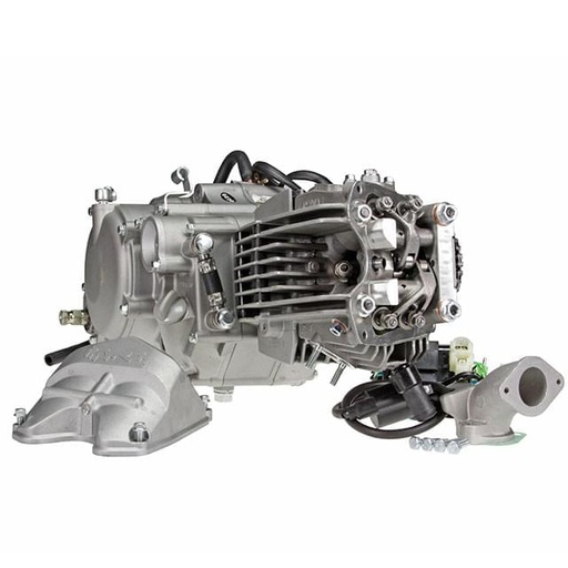 [DAY150ANIMA] Motor Daytona ANIMA 150cc 4V, Pitbike