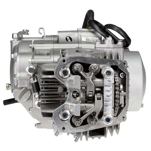 [DAY150ANIMA] Motor Daytona ANIMA 150cc 4V, Pitbike