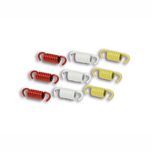 [2911326] Muelles de embrague Malossi Leonardo 125-150 / Scarabeo 125-150 (Rotax) / Gilera Nexus 250 / Runner 180
