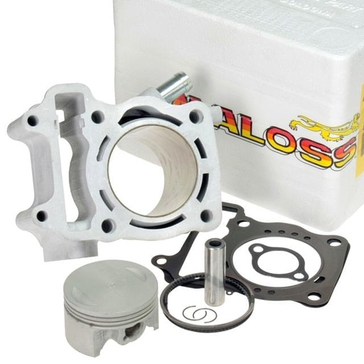 [3111588] Cilindro Malossi 4T 61mm. 172cc, Honda @ / Dylan / SH / Pantheon 150cc