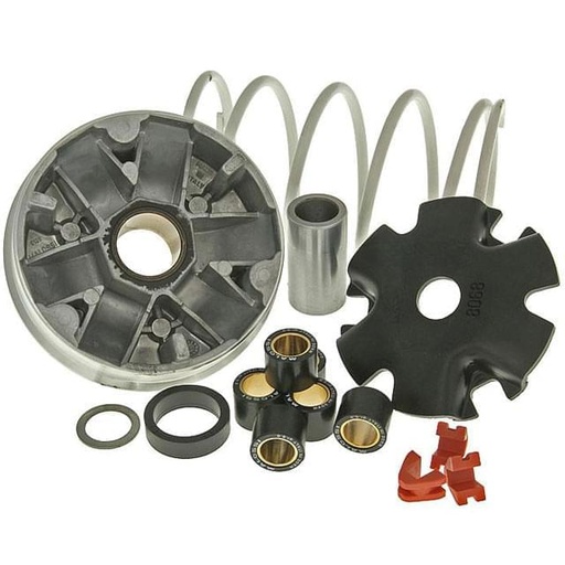 [5113790] Variador Multivar Kymco Agility / People / Vitality 50cc LC 4T (Euro II) Malossi