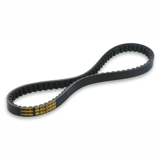 [6112741] Correa Minarelli horizontal corto Malossi X-Special Belt