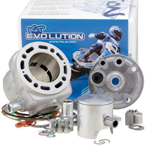 [166.0111] Cilindro Minarelli LC Scooter Polini Evolution 2010 94cc d.52 c.44