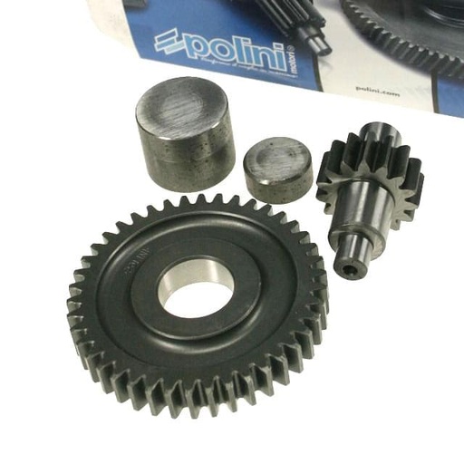 [202.1321] Transmisión de Engranaje Secundaria, Polini, Minarelli CW y MY y MA, 14/41 (1:2,93)