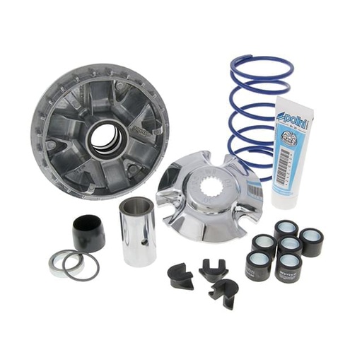 [241.686] Variador Polini Maxi Hi-SPEED, SUZUKI Epicuro / Burgman 125 150 4T