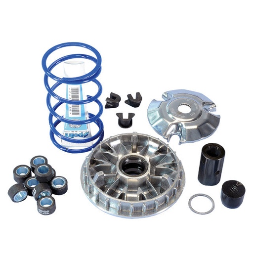 [241.665] Variador Polini Maxi HI-SPEED PIAGGIO 200/250/300