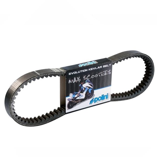 [248.077] Correa Polini X MAX 250