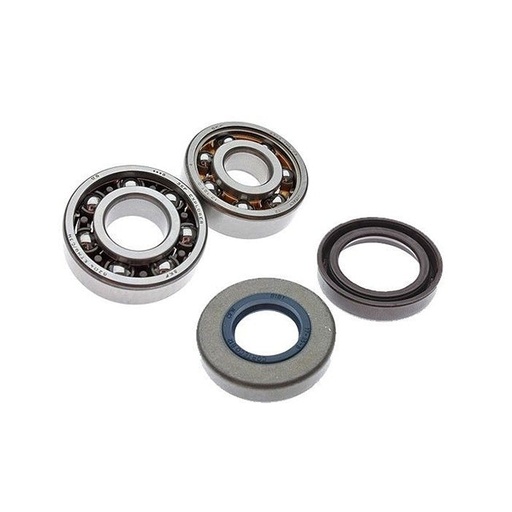 [9924750] Rod. SKF "HighQuality"con retenes, Minarelli AM6, jaula Teflon (SKF 6204/TN9-C4 y SKF 6303/TN9-C3 ) 
