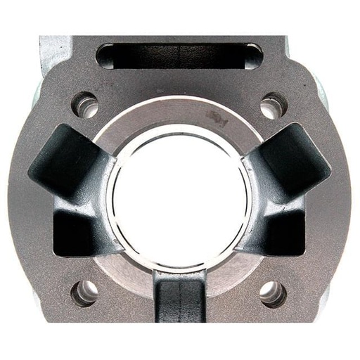 [9927100] Cilindro Top Performances 50cc hierro, Derbi Euro 3