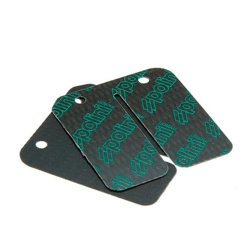 [213.0537] Laminas carbono para caja de laminas Derbi Polini