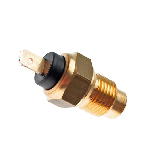 [0/000.460.1151] Tornillo sensor temperatura Rieju 