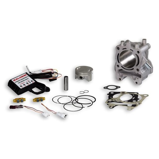 [3117559] Cilindro Malossi I-TECH 125 a 170cc Honda
