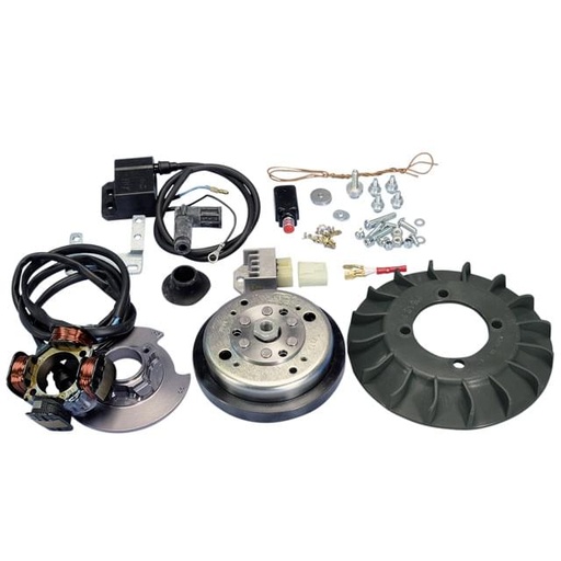 [171.0543] Encendido variable Vespa cono 20 1,2kg Polini