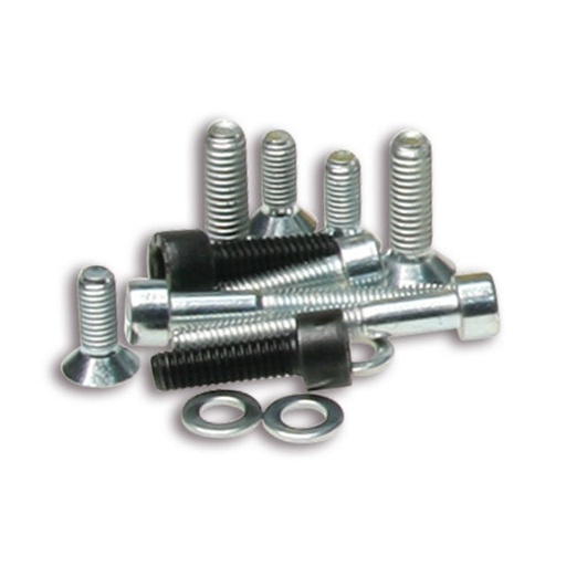 [1911555] Tornilleria Malossi MHR para encendido con rotor interno para vehículos Piaggio LC