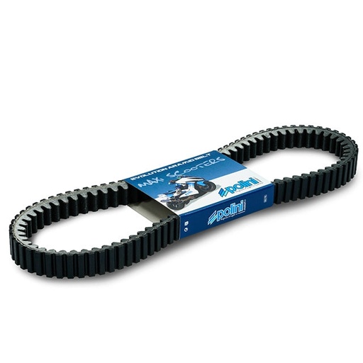 [248.128] Correa Yamaha X-max 300 euro 4 >17 Polini