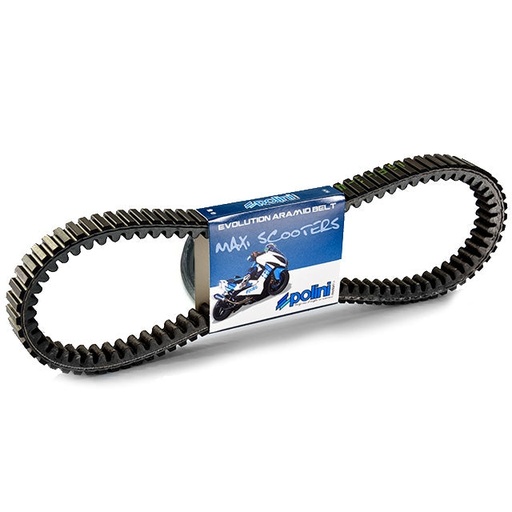 [248.127] Correa Yamaha X-max / Majesty 400 Polini