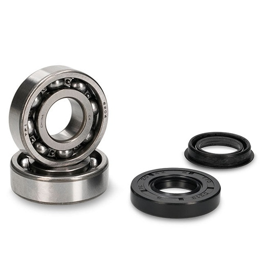 [AP20BS166] Cojinetes y retenes cigüeñal Minarelli / CPI AllPro