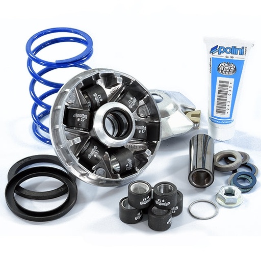 [241.749] Variador Aprilia / Gilera / Piaggio 50 Polini Hi-Speed Evolution 2 d.16mm 12,5 grados