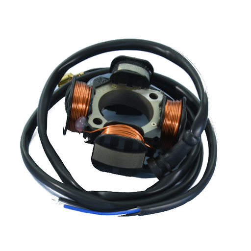 [171.0650] Estator encendido variable Vespa Primavera/PK/SL/FL Polini