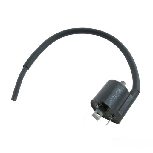 [0/005.702.1500] Bobina de alta Rieju motor power up