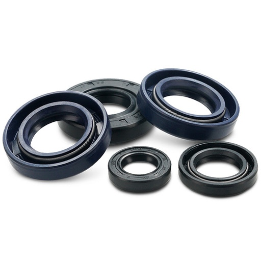 [AP20SE193.ENG] Retenes carter Derbi D50B0 Allpro